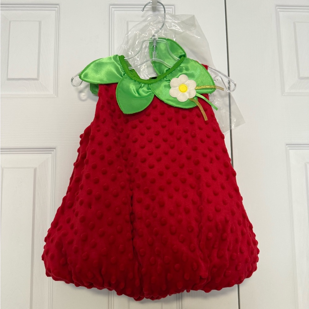 Red and Green Strawberry Costume for Halloween
